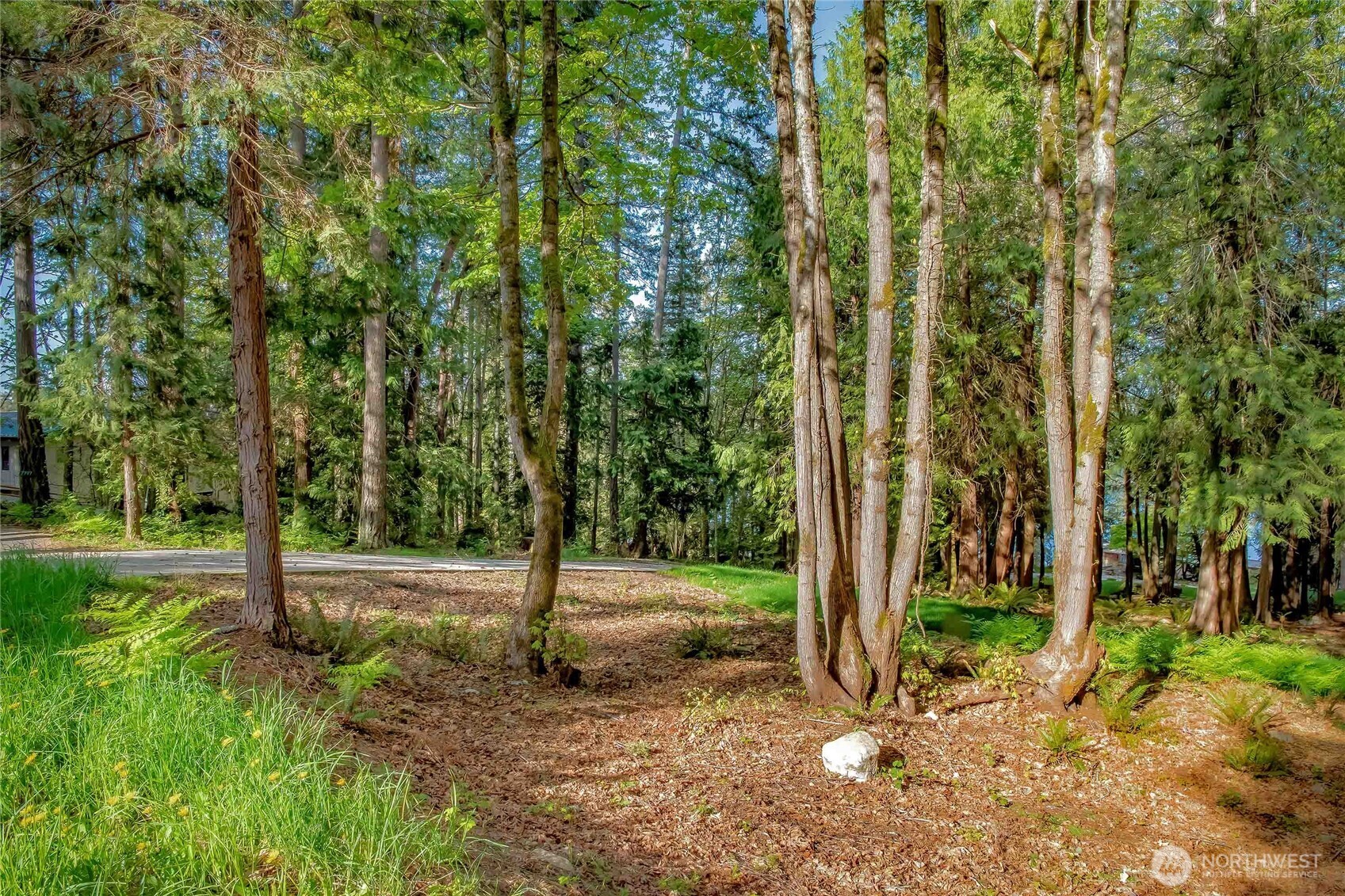 7809 Hansen Road Northeast Bainbridge Island, WA 98110 - Photo 13 of 21 Gallery Image 13