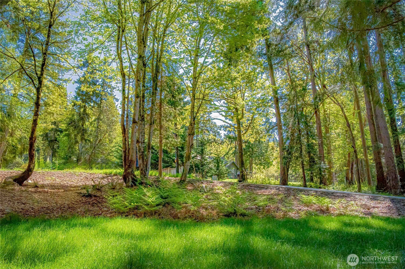 7809 Hansen Road Northeast Bainbridge Island, WA 98110 - Photo 3 of 21 Gallery Image 3