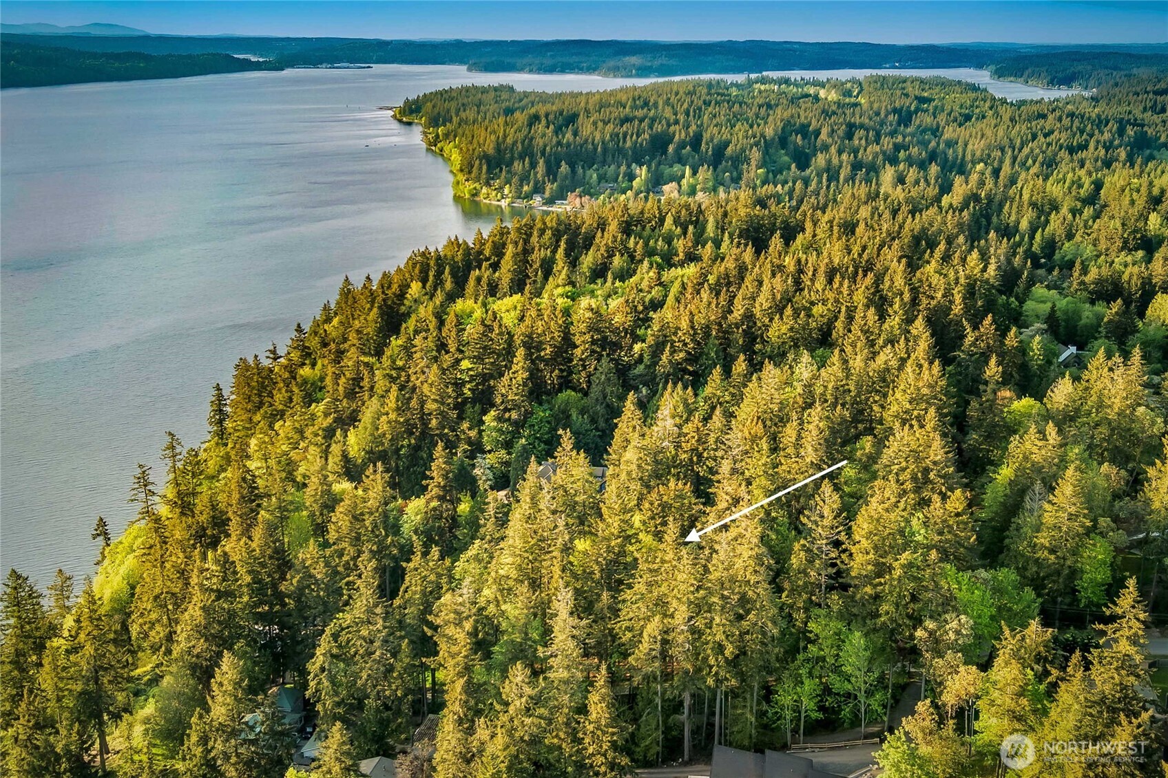 7809 Hansen Road Northeast Bainbridge Island, WA 98110 - Photo 6 of 21 Gallery Image 6