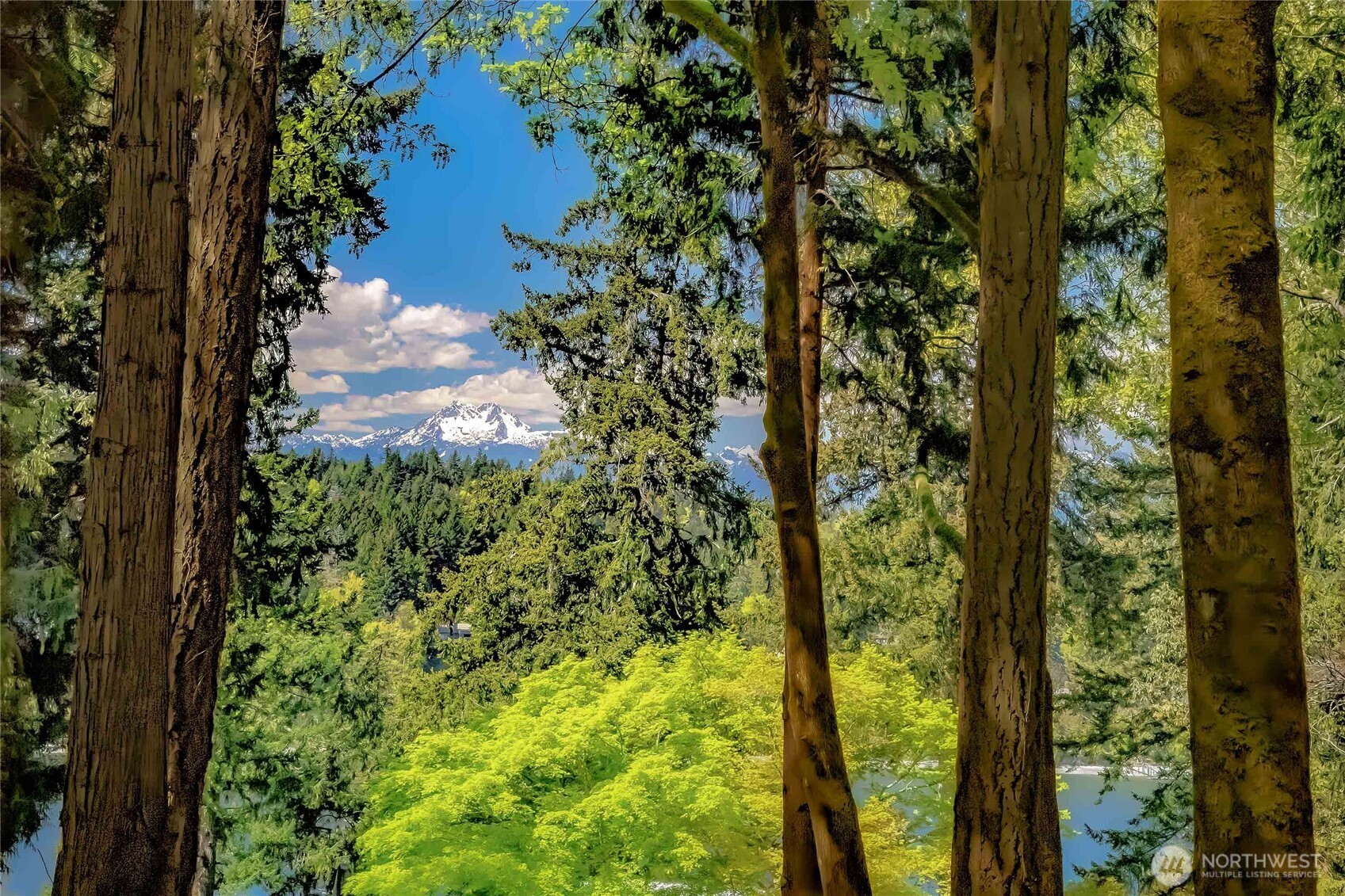 7809 Hansen Road Northeast Bainbridge Island, WA 98110 - Photo 9 of 21 Gallery Image 9
