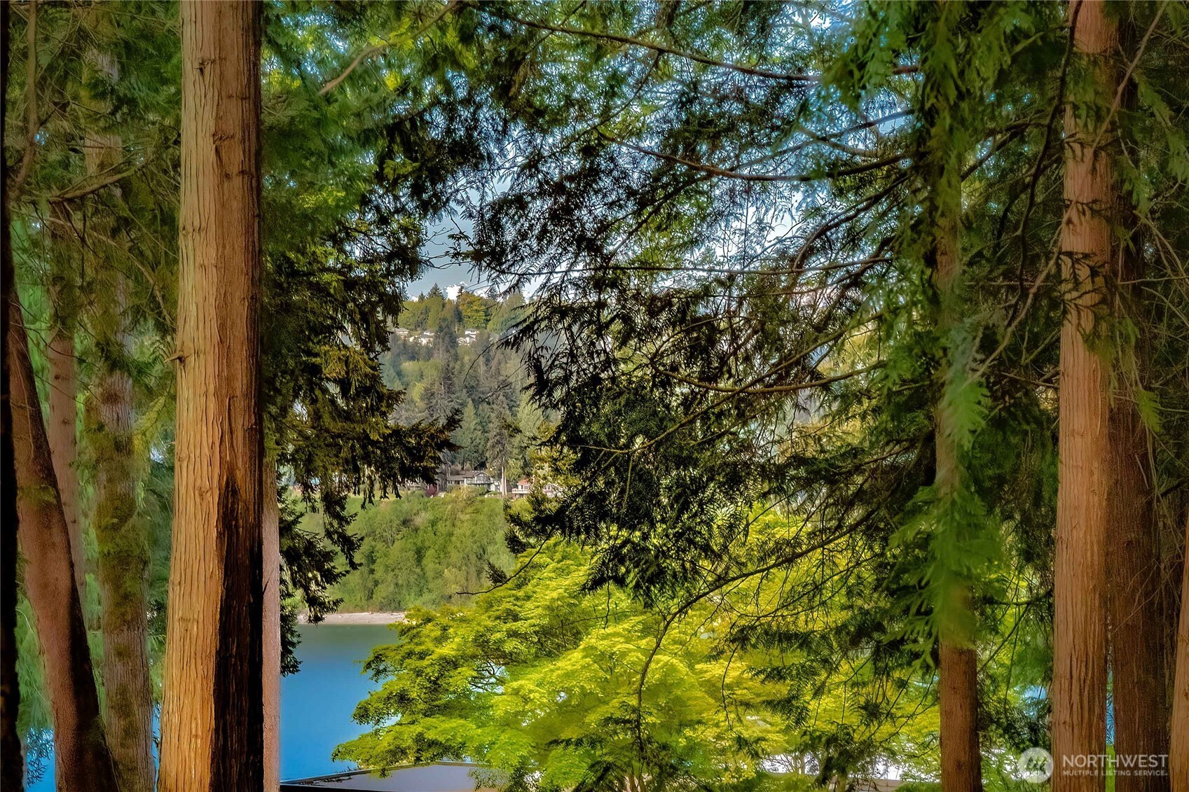 7809 Hansen Road Northeast Bainbridge Island, WA 98110 - Photo 10 of 21 Gallery Image 10