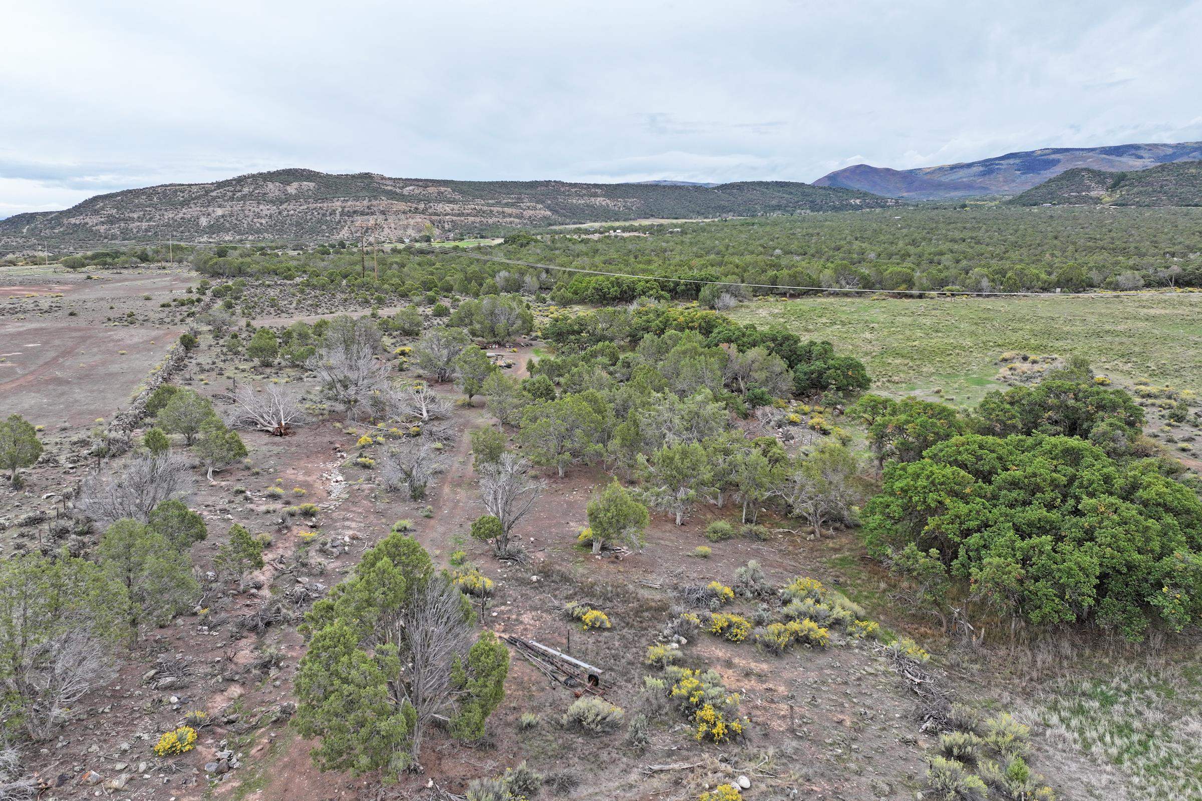 51755 KE Road Molina, CO 81646 - Photo 36 of 41 Gallery Image 36