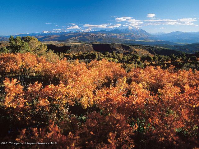 a view of a backyard of a house