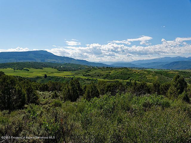 a view of a lush green forest with lots of trees