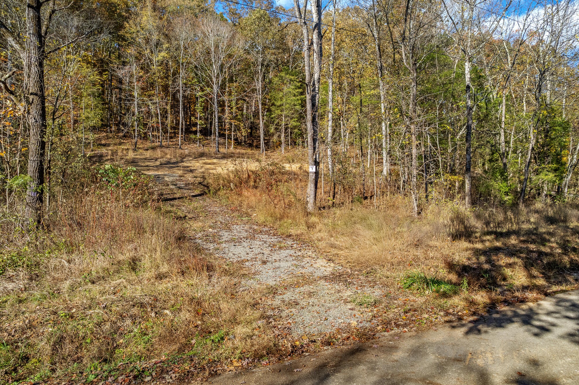 29 County Road Riceville, TN 37370 - Photo 26 of 29 Gallery Image 26
