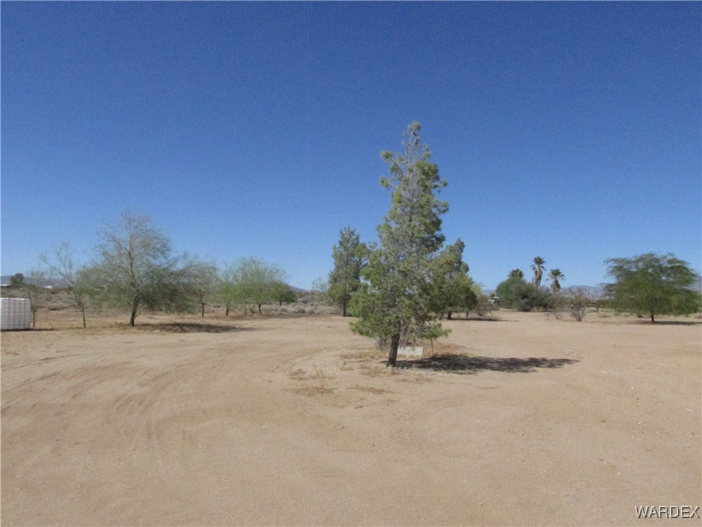663 Colorado Road Golden Valley, AZ 86413 - Photo 50 of 63 Yard