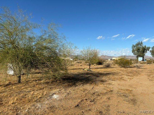 663 Colorado Road Golden Valley, AZ 86413 - Photo 56 of 63 Yard