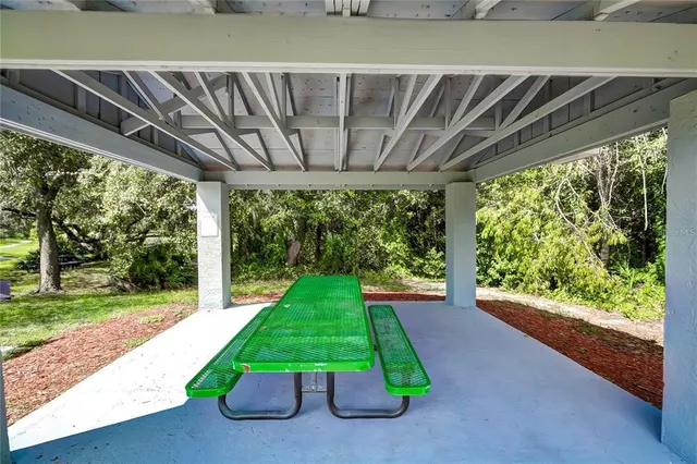 a view of a park with large trees