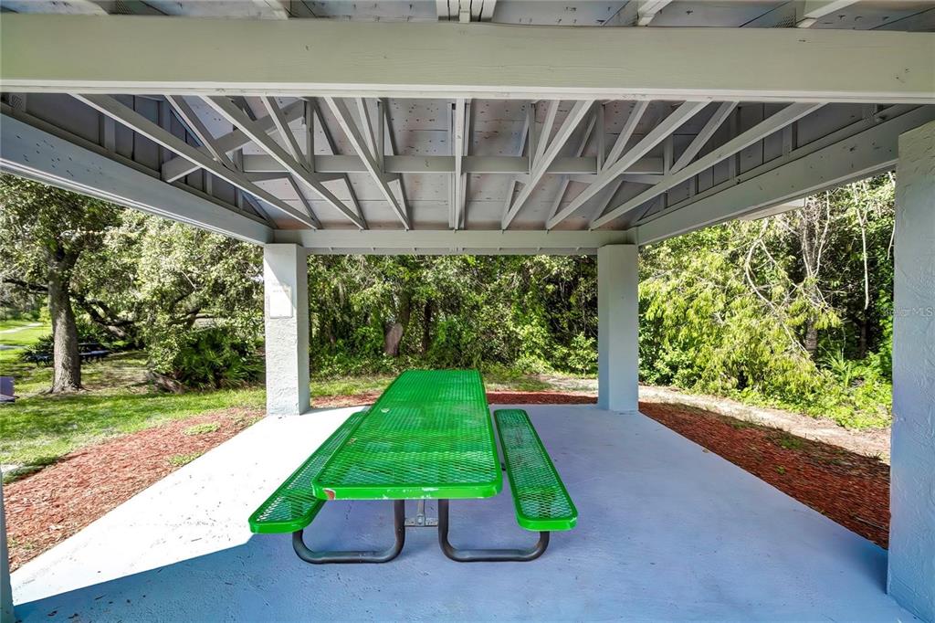 6067 Patricia Place Weeki Wachee, FL 34607 - Photo 12 of 21 a view of backyard with swimming pool and outdoor seating