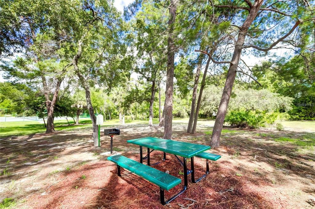 6067 Patricia Place Weeki Wachee, FL 34607 - Photo 15 of 21 a view of a park with bench and trees