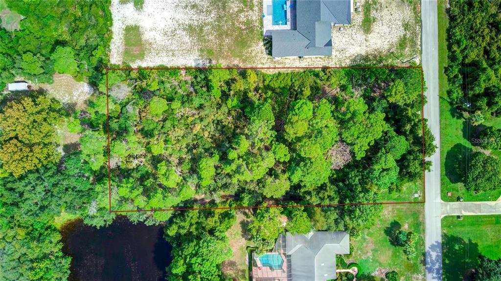 6067 Patricia Place Weeki Wachee, FL 34607 - Photo 21 of 21 a view of a garden