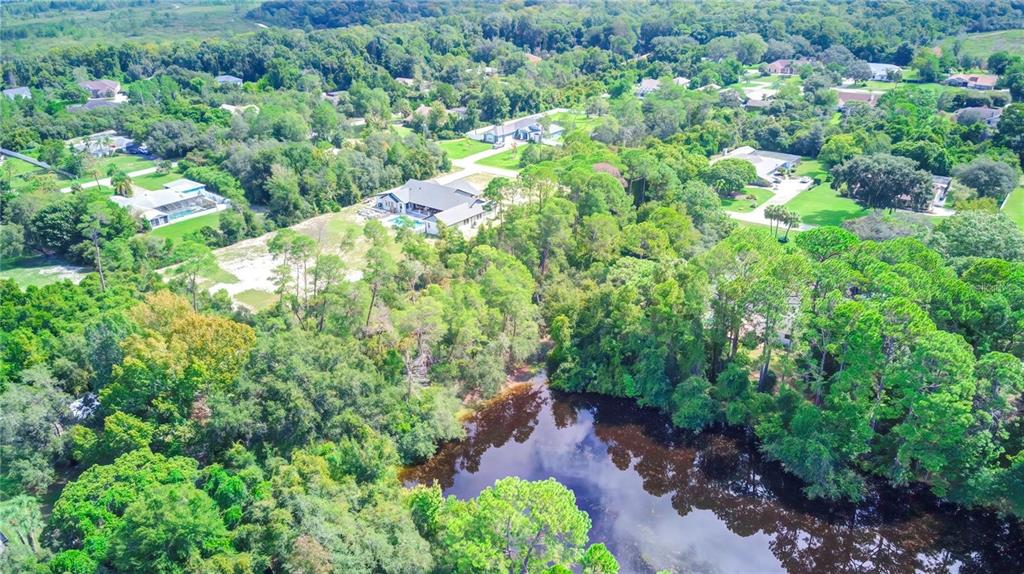6067 Patricia Place Weeki Wachee, FL 34607 - Photo 3 of 21 a view of a garden with plants