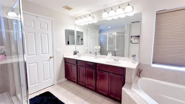 a bathroom with a tub a sink double vanity and a mirror