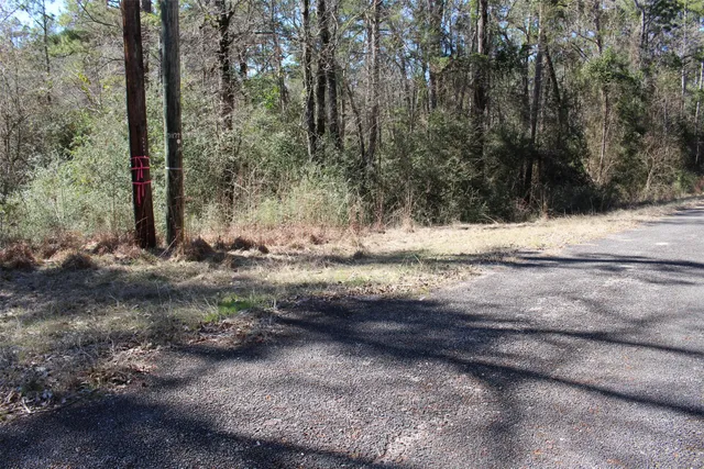 a view of a lake with a mountain