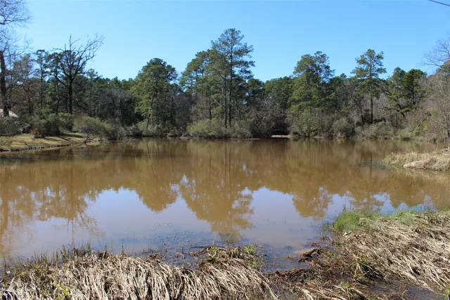a view of a lake with a mountain in the background