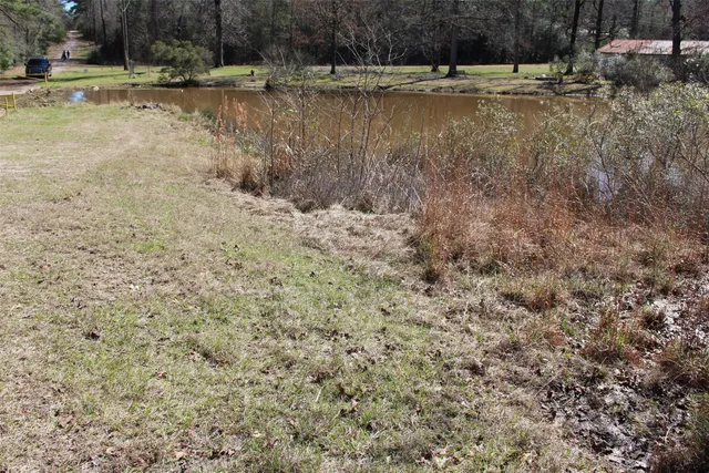 a view of a tree with a tree
