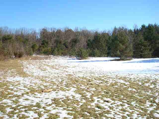 71 Alcove Road Coeymans, NY 12046 - Photo 4 of 10 Photo 4