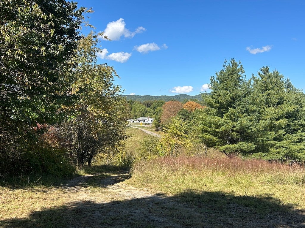 4.4-ac Owl Tree Lane Rural Retreat, VA 24368 - Photo 16 of 26 Gallery Image 16