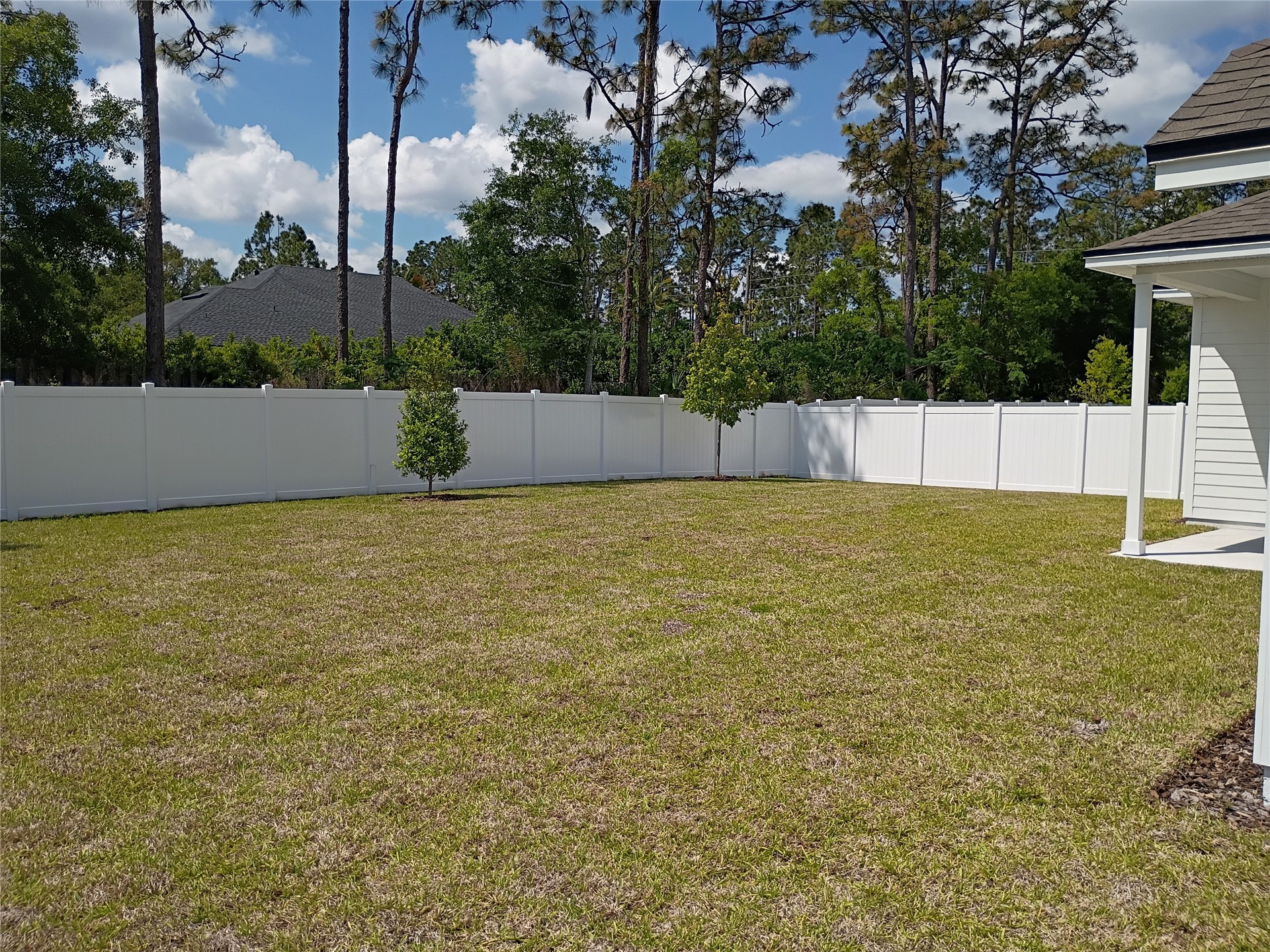 96052 Pirates Bluff Road Yulee, FL 32097 - Photo 6 of 22 a view of a swimming pool