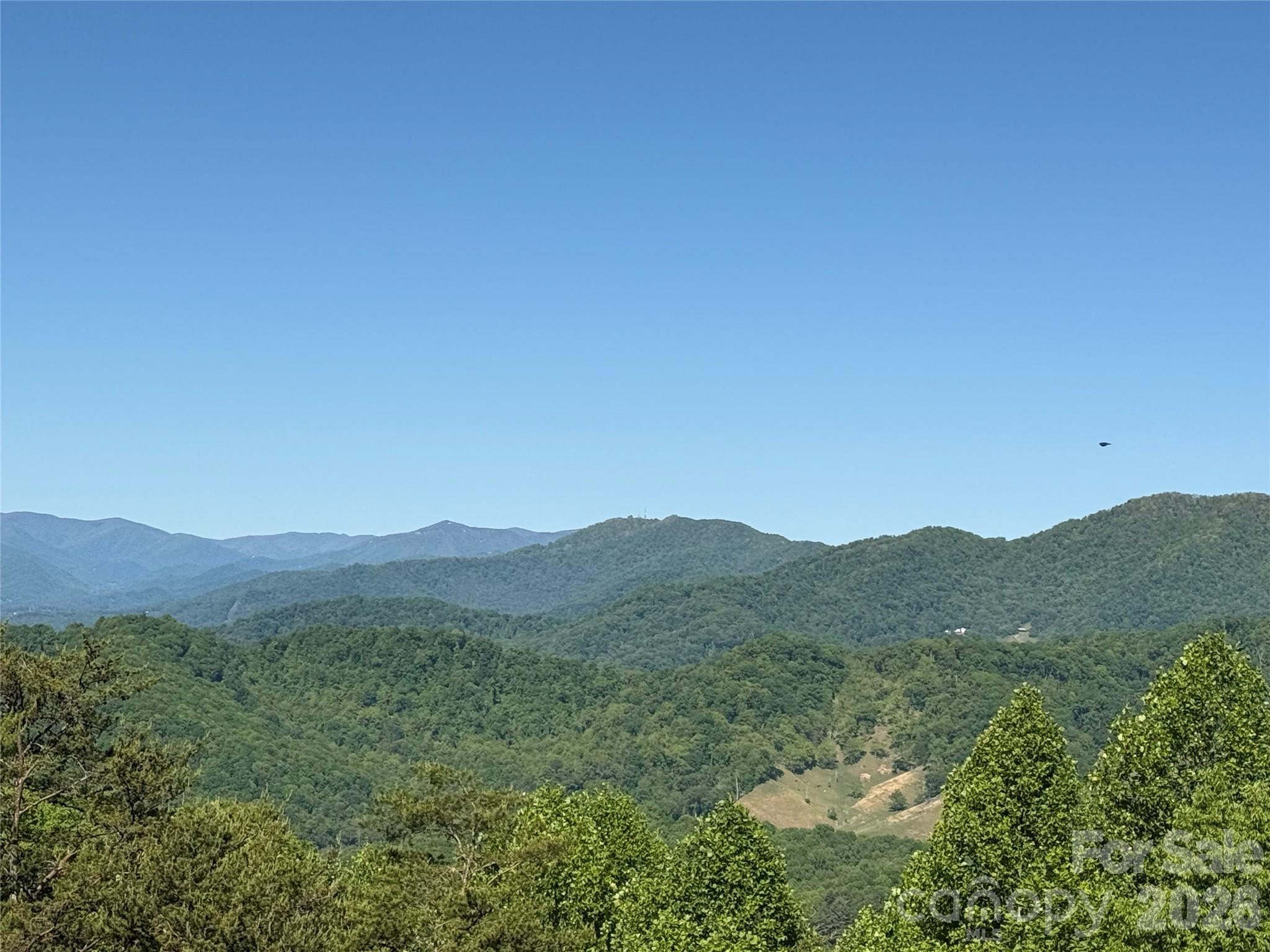 9999 Hunters Ridge Road Canton, NC 28716 - Photo 16 of 19