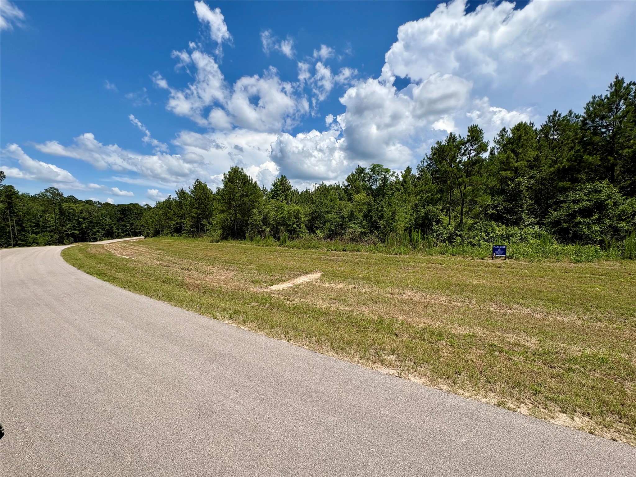16270 Ridge Oak Road Willis, TX 77378 - Photo 2 of 9