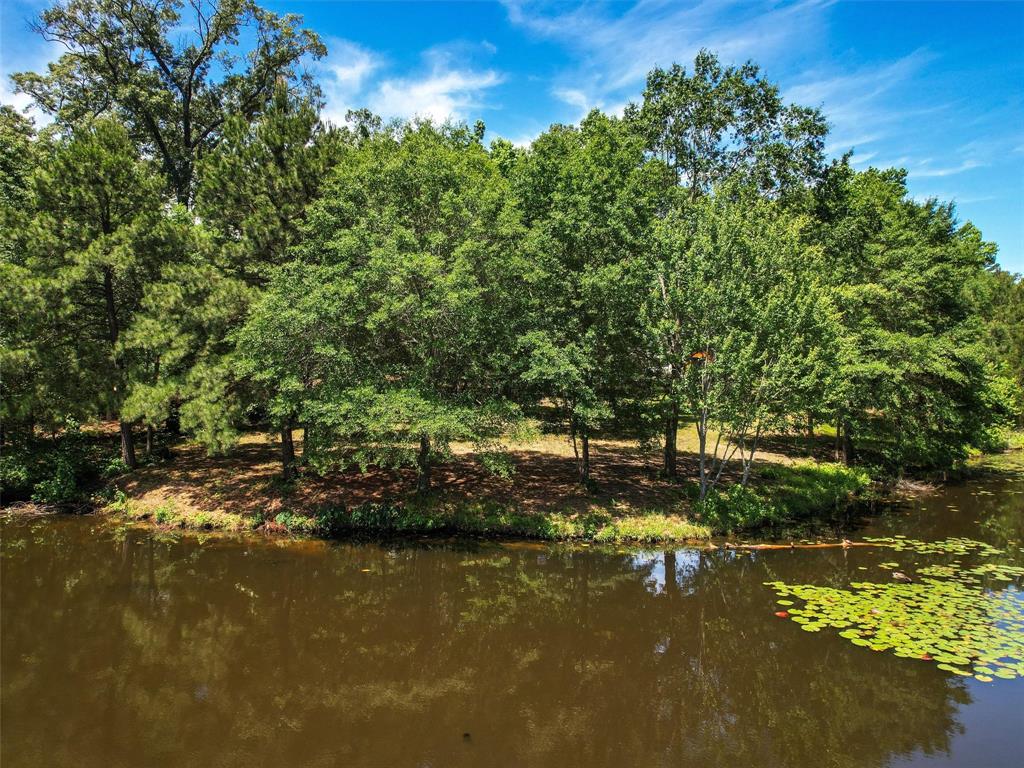 800 John Dean Road Gilmer, TX 75644 - Photo 6 of 40 a view of a lake with houses