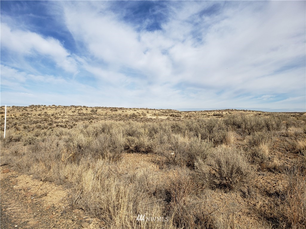 9 Eagle Springs Ranch Marlin, WA 98832 - Photo 3 of 4