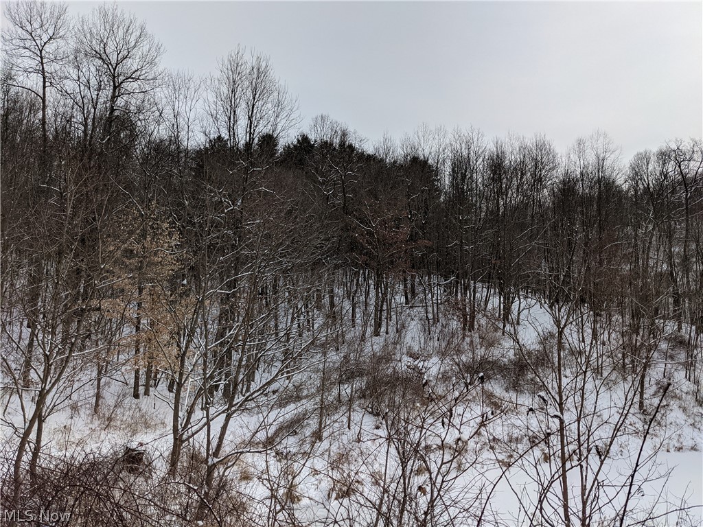 74900 Early Road Kimbolton, OH 43749 - Photo 25 of 35 Gallery Image 25