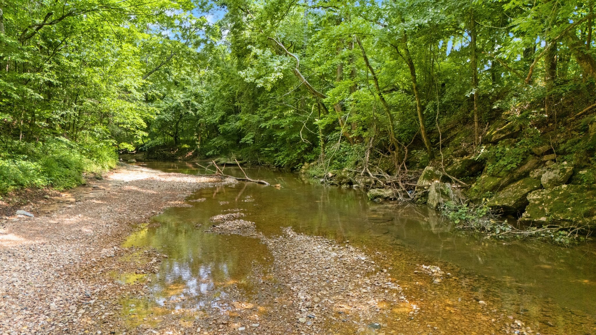 42 Oneal Road Adolphus, KY 42120 - Photo 25 of 28 Gallery Image 25