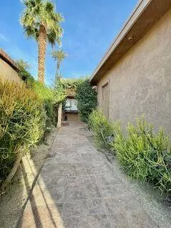 a view of a yard with plants