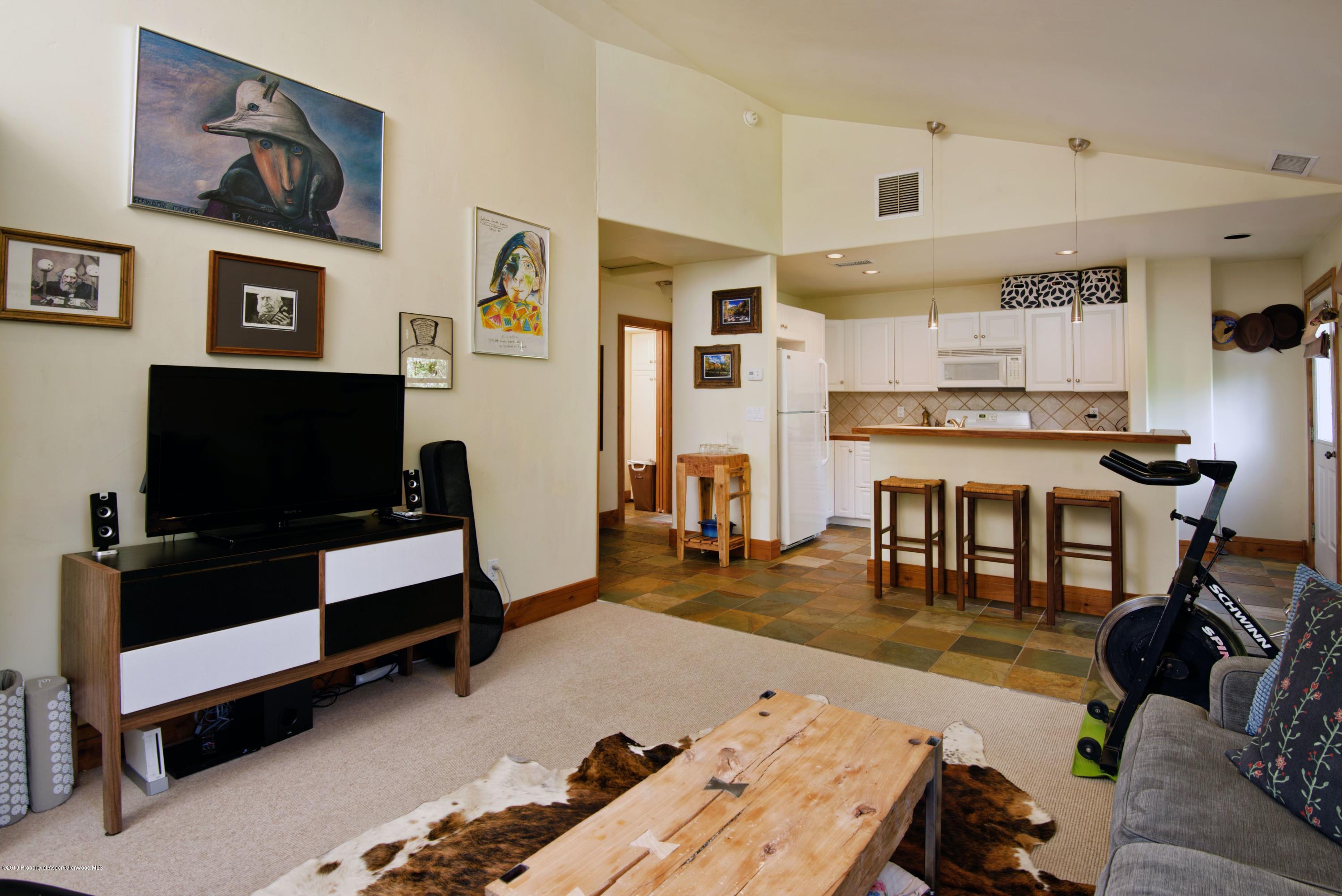 223 Juniper Court Basalt, CO 81621 - Photo 15 of 20 Apartment 1