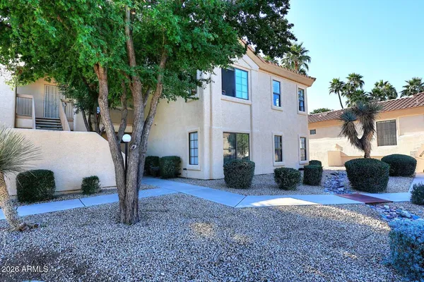 a view of a terrace with a garden and a tree