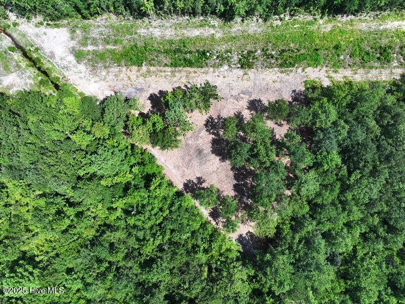 Tbd Popes Crossing Road Lumberton, NC 28358 - Photo 3 of 16 DJI_20250720041746_0589_D