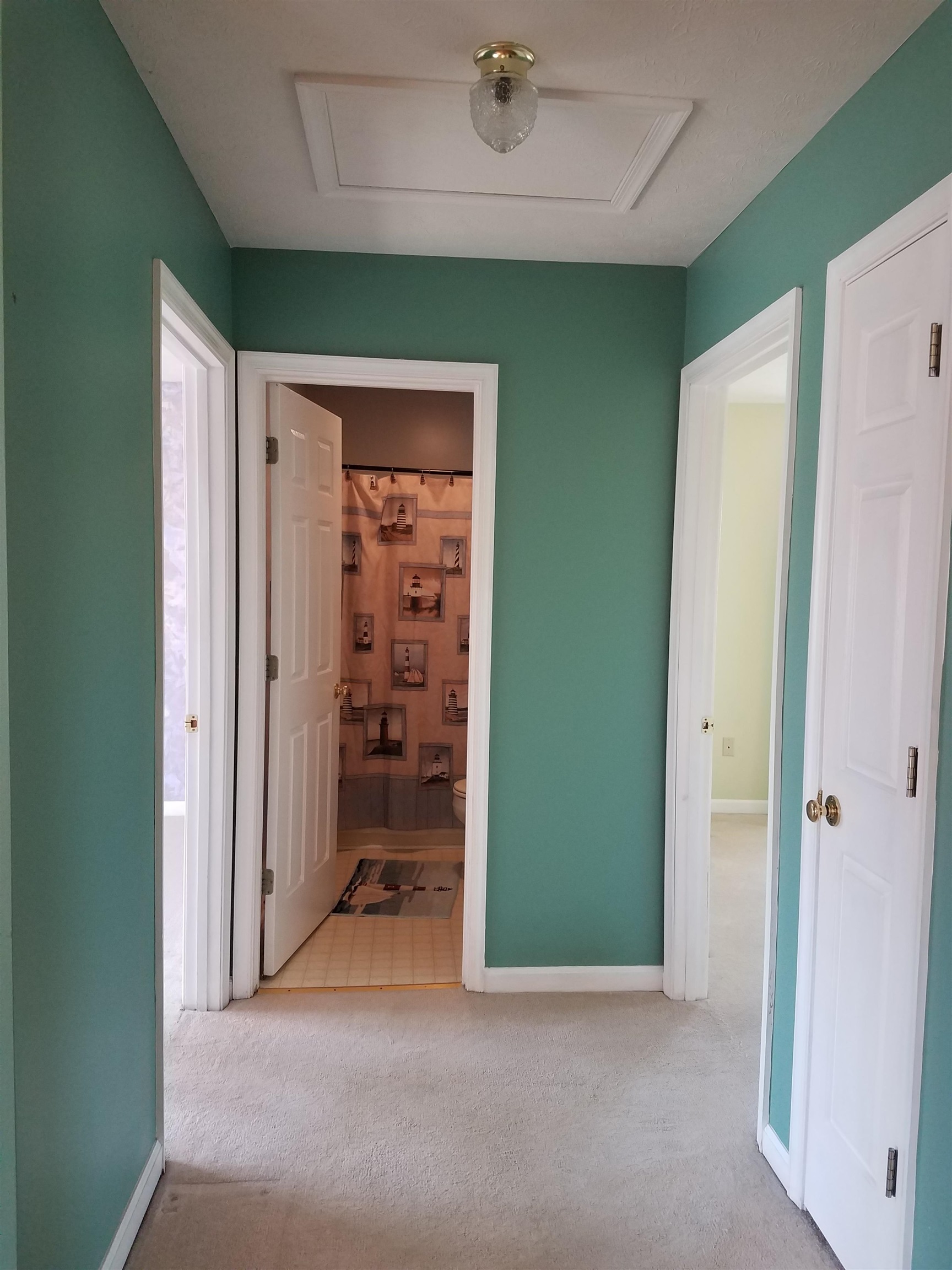 790 Battlefield Road Fort Defiance, VA 24437 - Photo 21 of 35 Guest Bedroom Hall