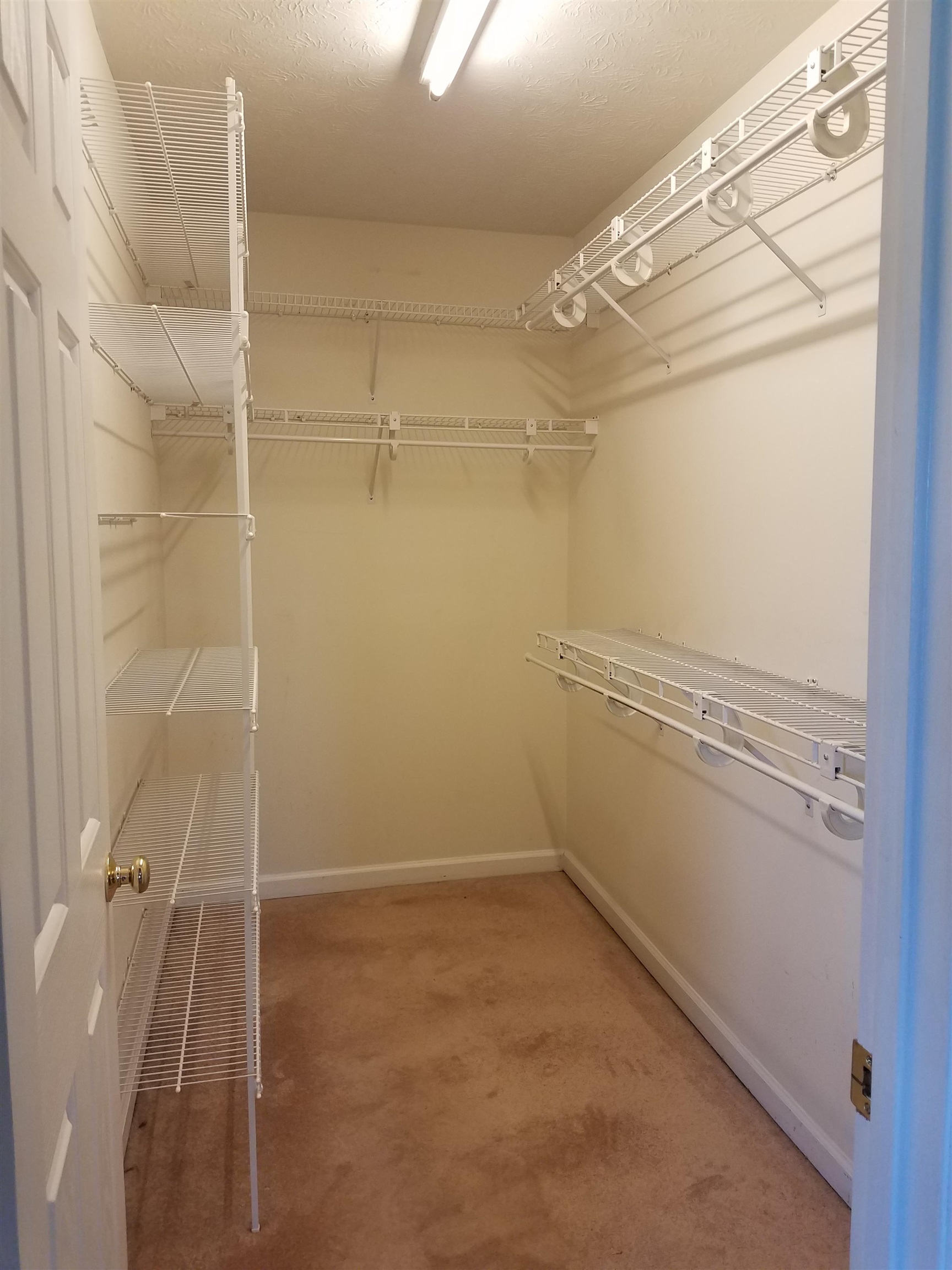 790 Battlefield Road Fort Defiance, VA 24437 - Photo 31 of 35 Primary Closet