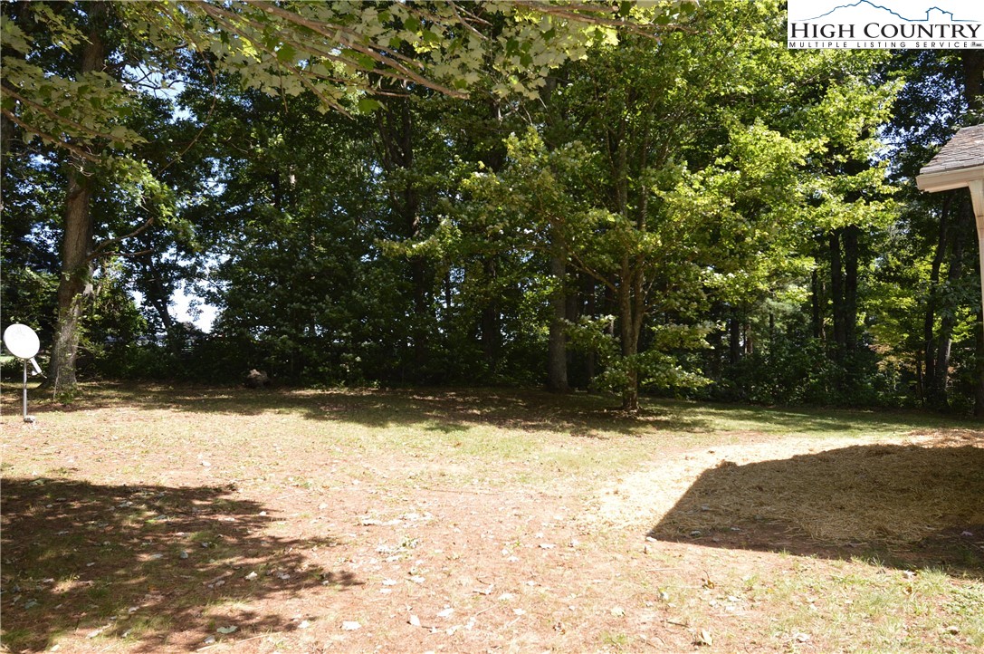2908 Pleasant Home Road Sparta, NC 28675 - Photo 24 of 39