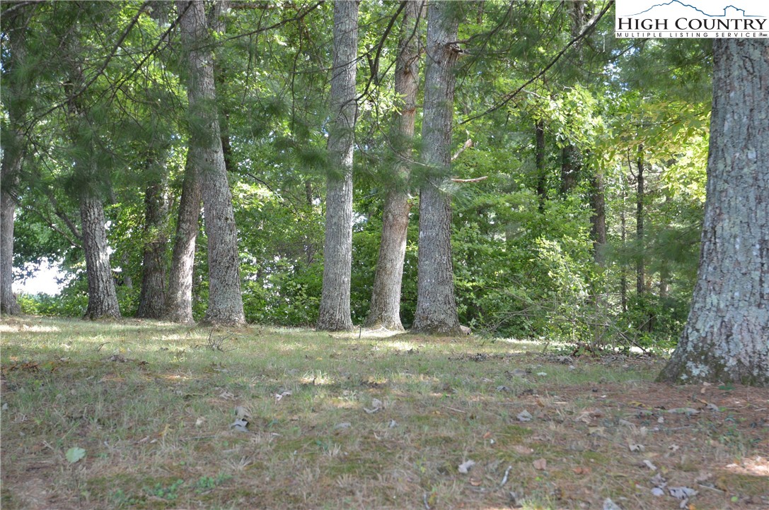 2908 Pleasant Home Road Sparta, NC 28675 - Photo 33 of 39