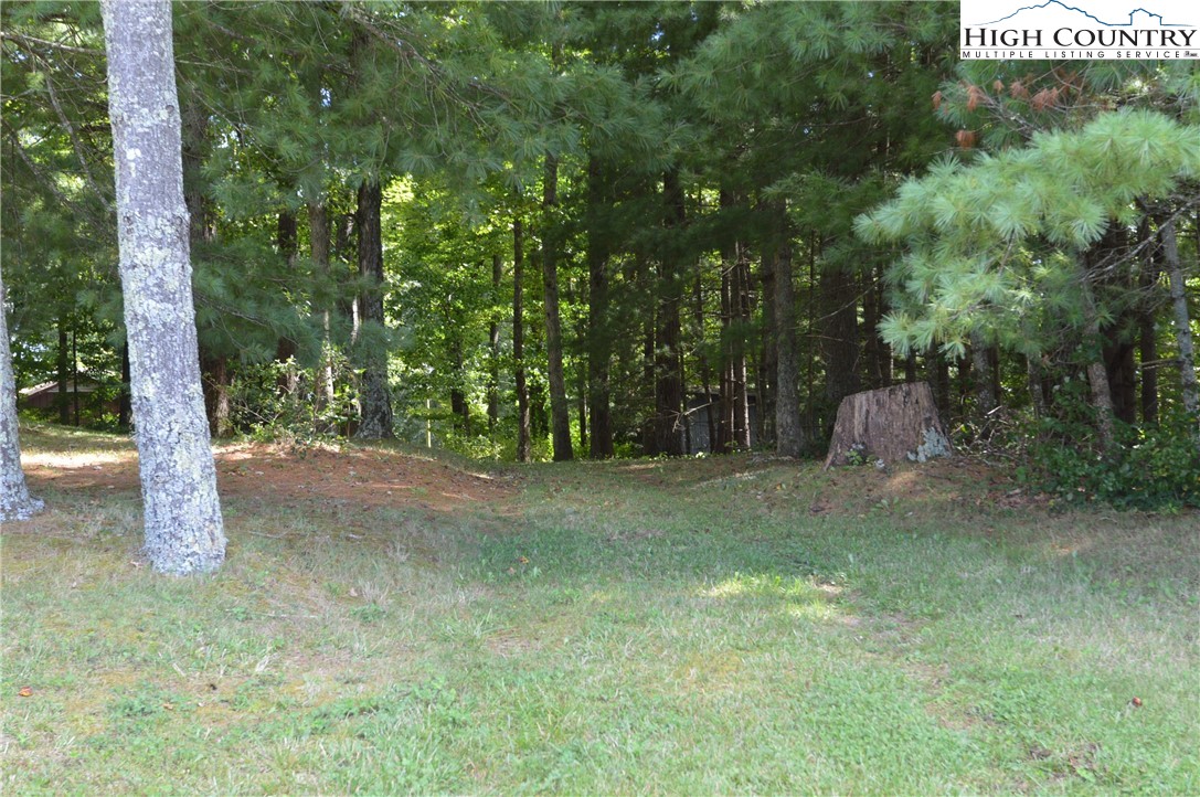 2908 Pleasant Home Road Sparta, NC 28675 - Photo 38 of 39