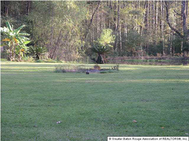 7850 Pine Bluff Road Denham Springs, LA 70726 - Photo 3 of 4 Gallery Image 3