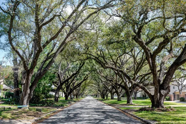 $6,850 | 5304 Braeburn Drive, Bellaire, TX 77401