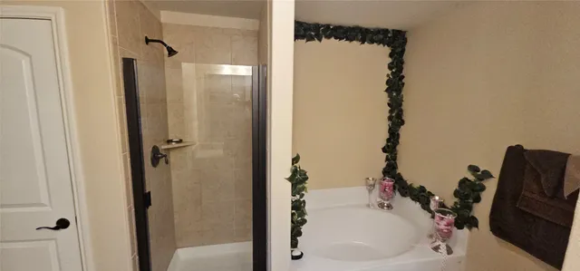 a bathroom with a sink and a shower