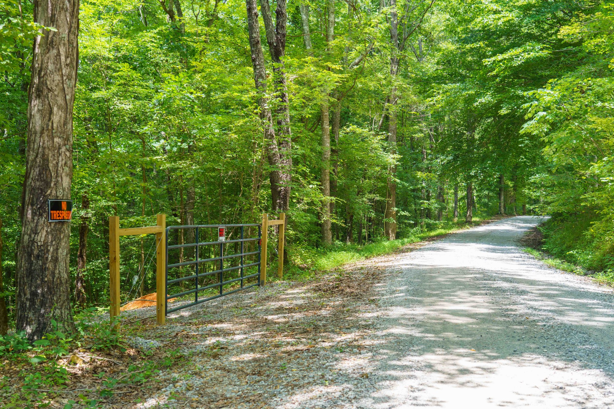 433 Sid Summers Road Stewart, TN 37175 - Photo 1 of 66 a view of a yard with potted plants and large trees