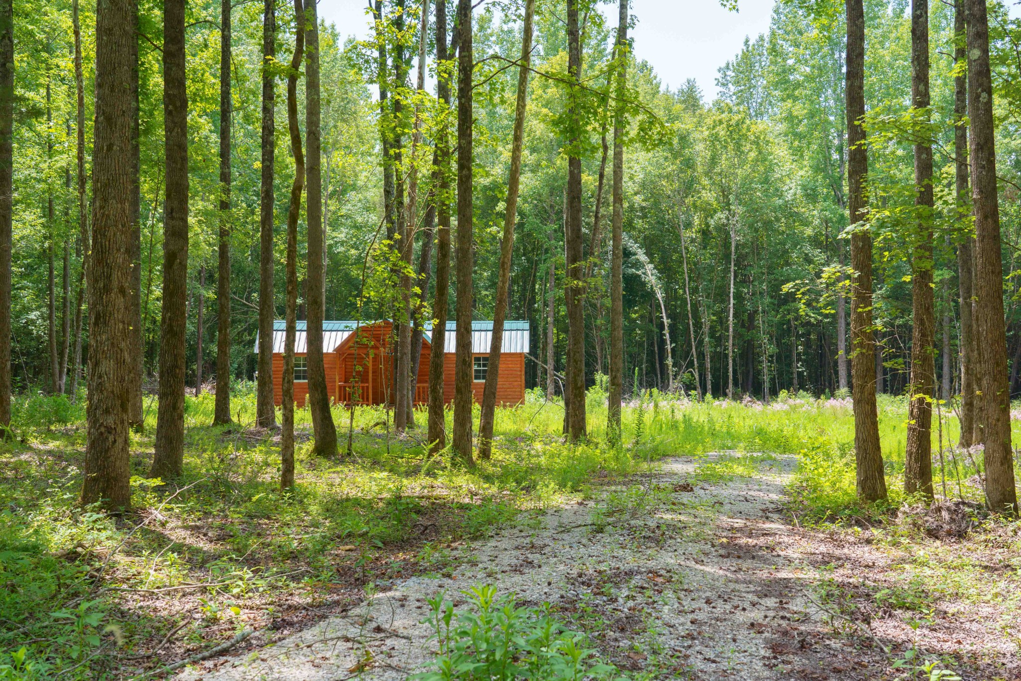 433 Sid Summers Road Stewart, TN 37175 - Photo 12 of 66 a view of a backyard with trees