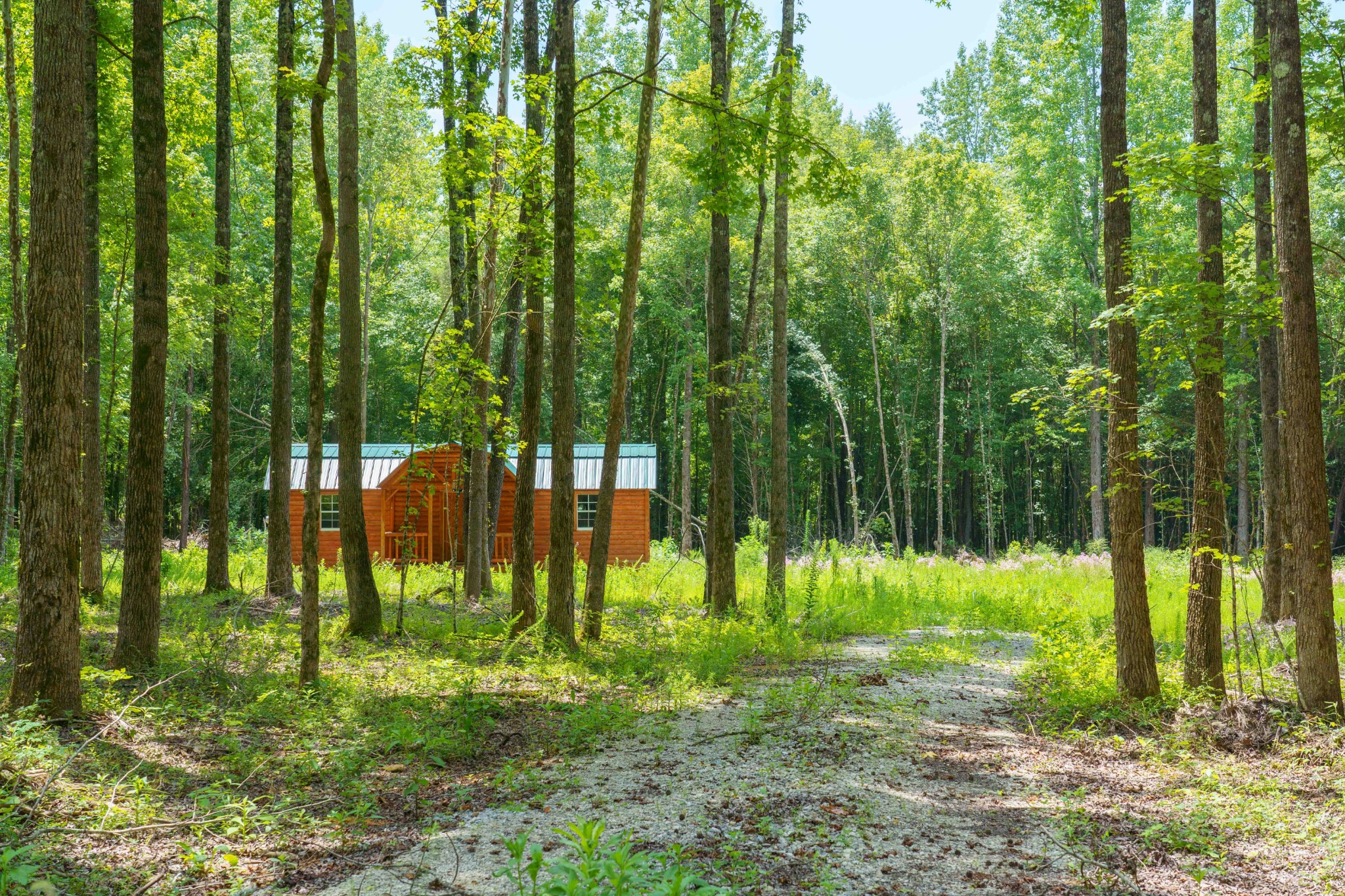 433 Sid Summers Road Stewart, TN 37175 - Photo 13 of 66