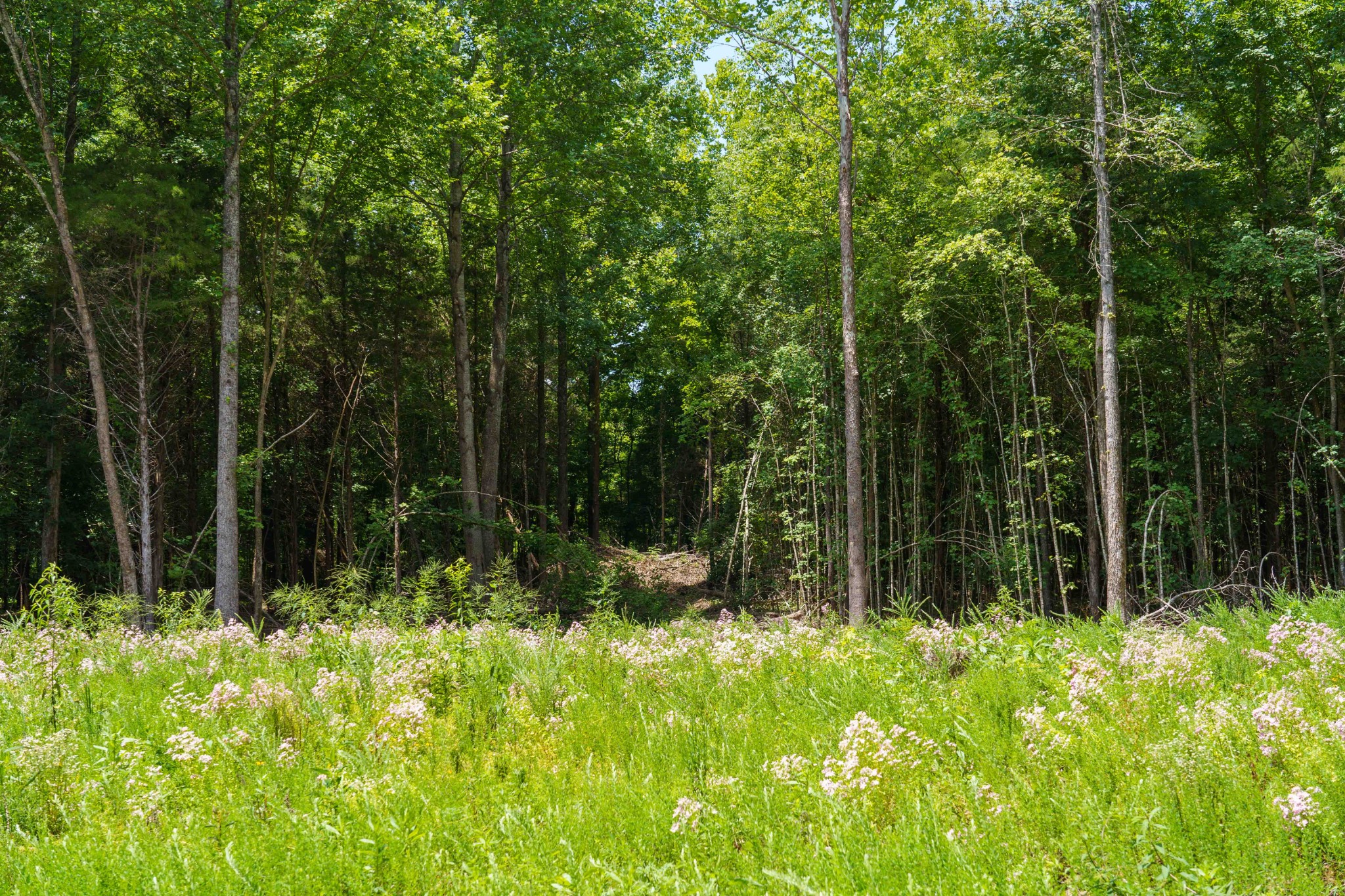 433 Sid Summers Road Stewart, TN 37175 - Photo 16 of 66