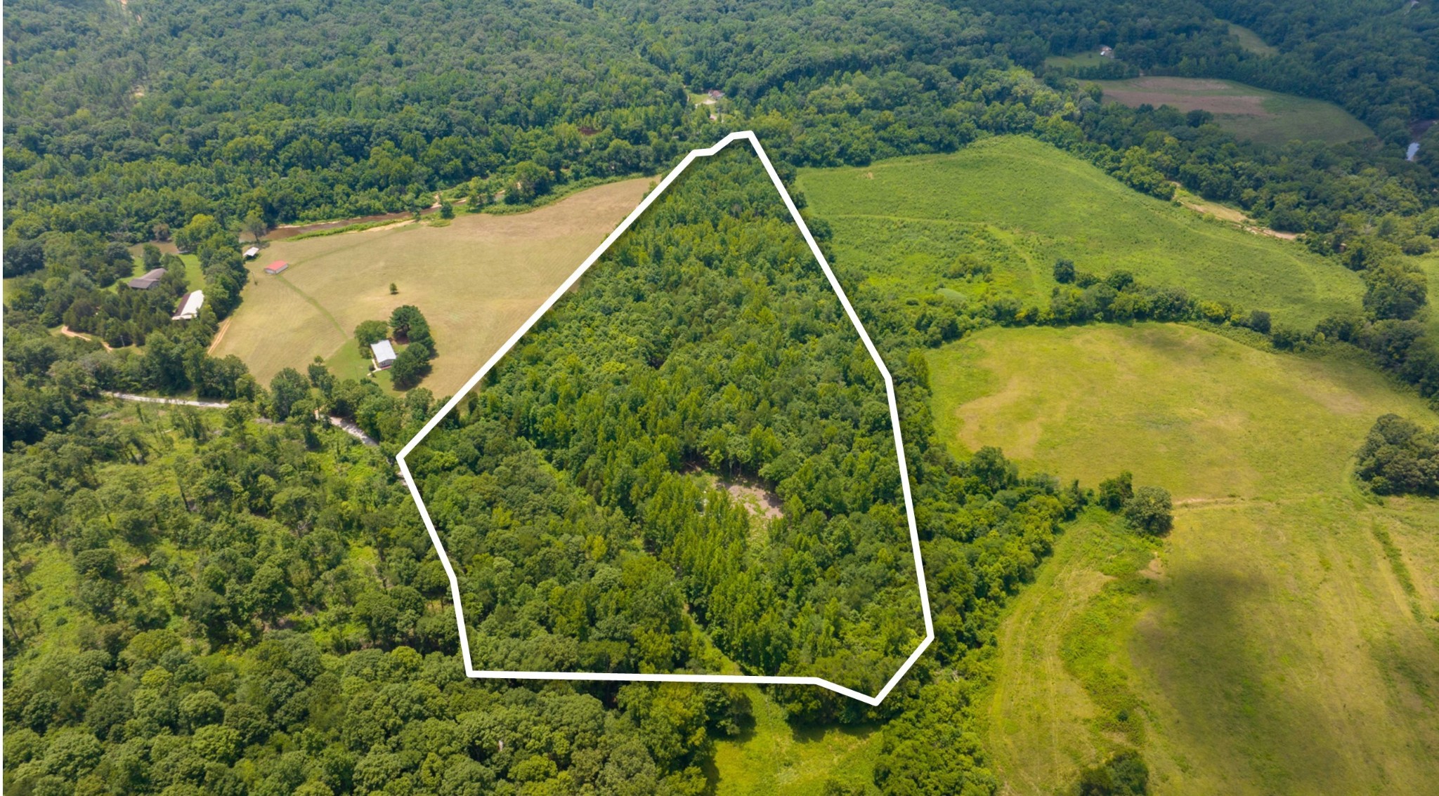 433 Sid Summers Road Stewart, TN 37175 - Photo 2 of 66