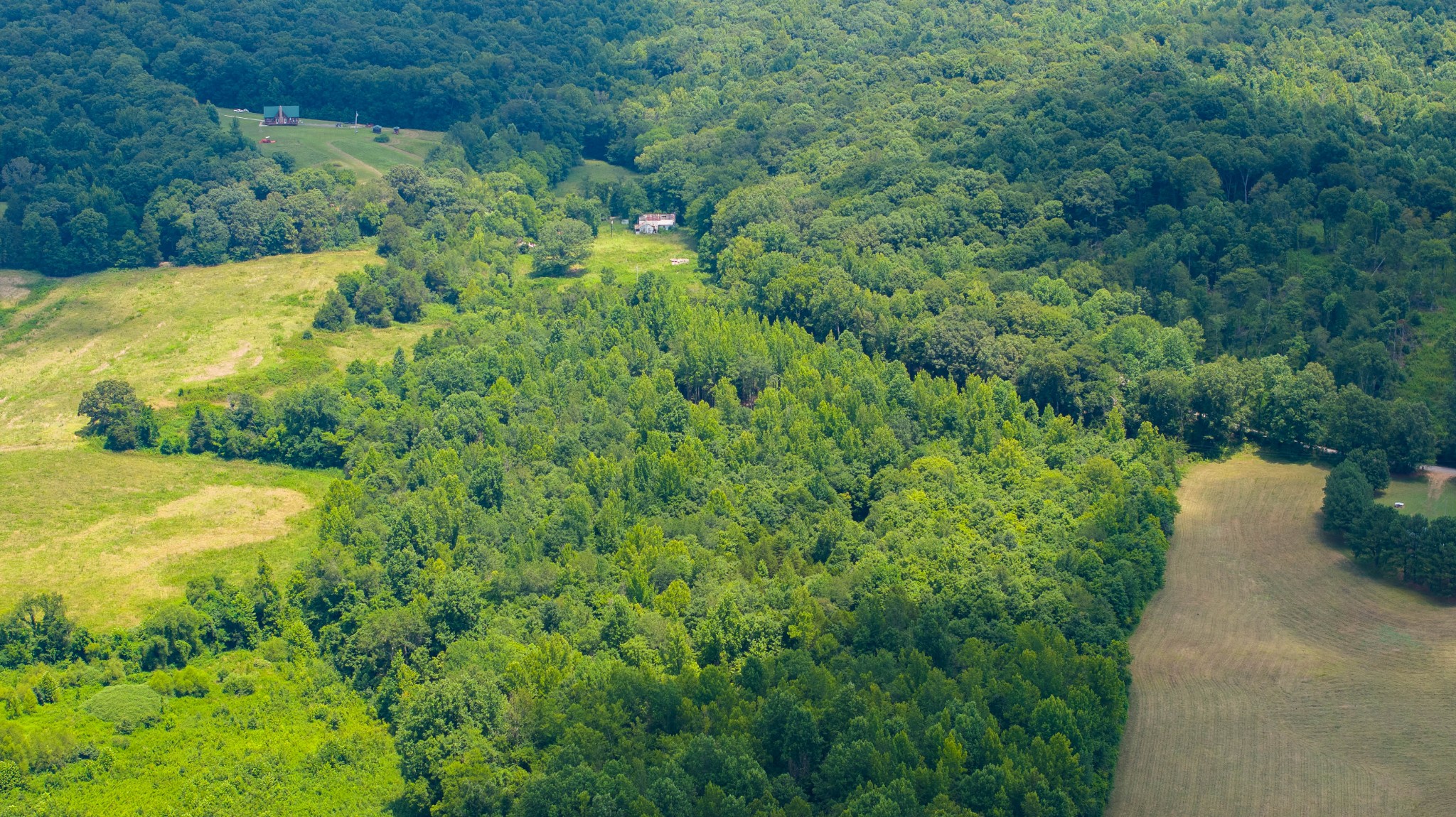 433 Sid Summers Road Stewart, TN 37175 - Photo 29 of 66