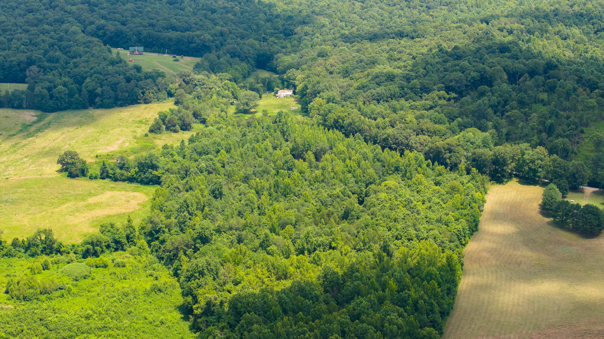433 Sid Summers Road Stewart, TN 37175 - Photo 30 of 66 a view of a garden with an outdoor space