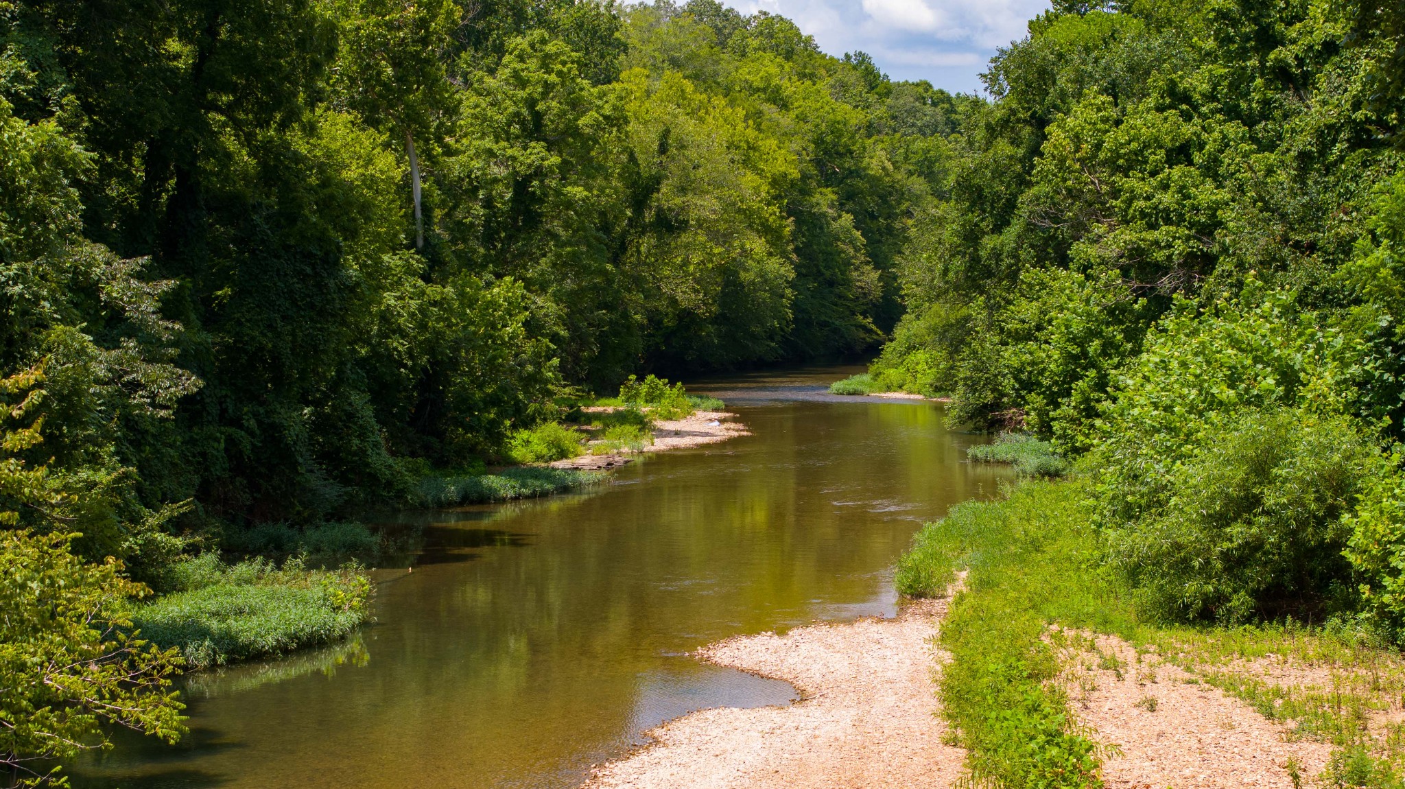 433 Sid Summers Road Stewart, TN 37175 - Photo 40 of 66