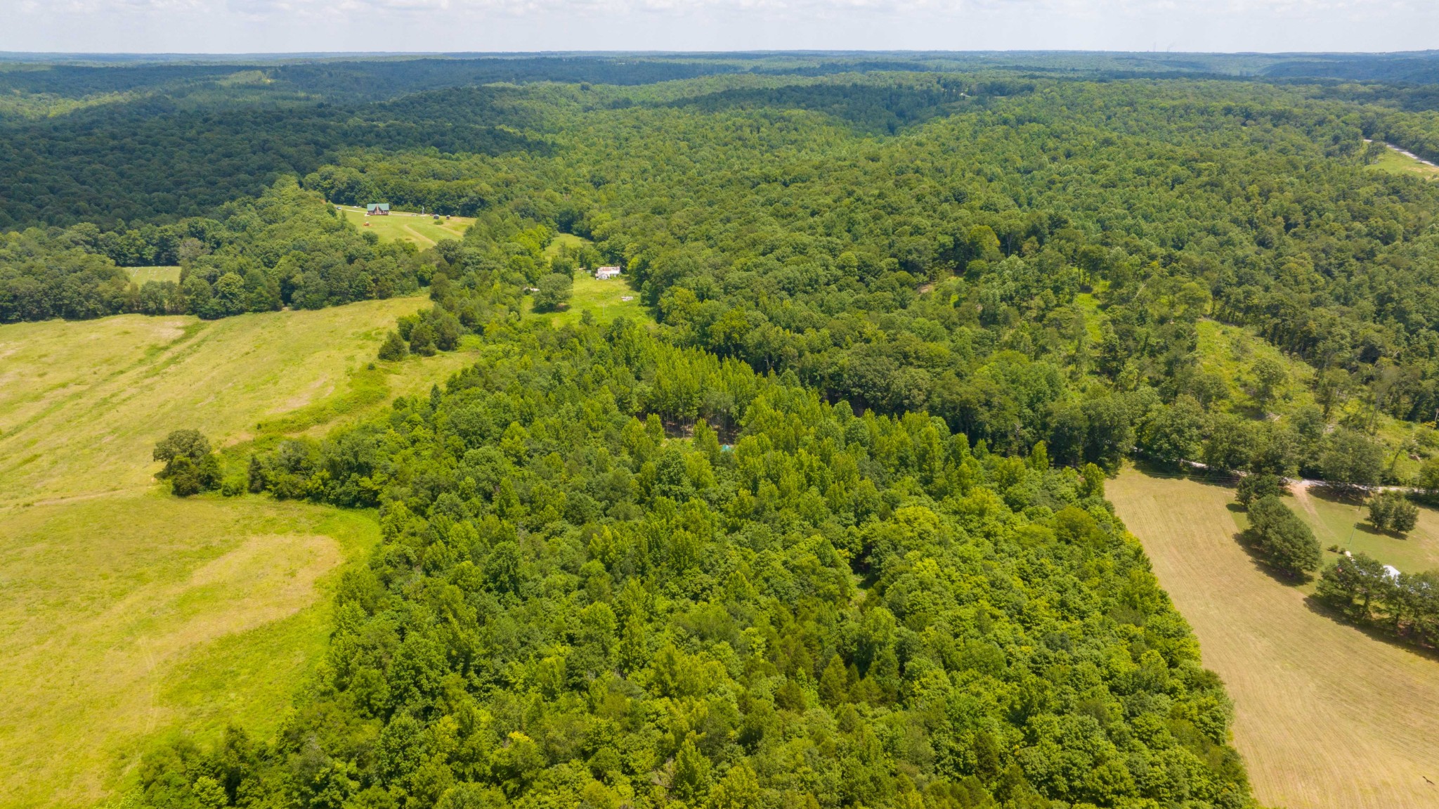 433 Sid Summers Road Stewart, TN 37175 - Photo 42 of 66 a view of a large body of water with a large tree